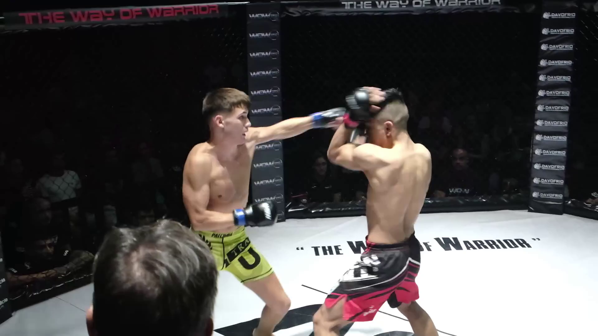 vlcsnap-2025-08-17-11h46m01s417